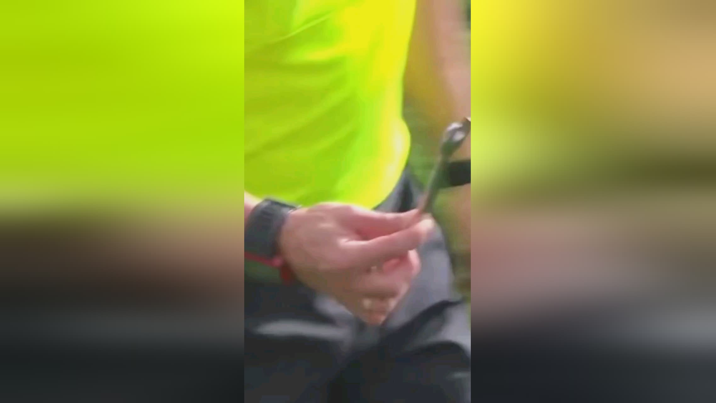 显加快