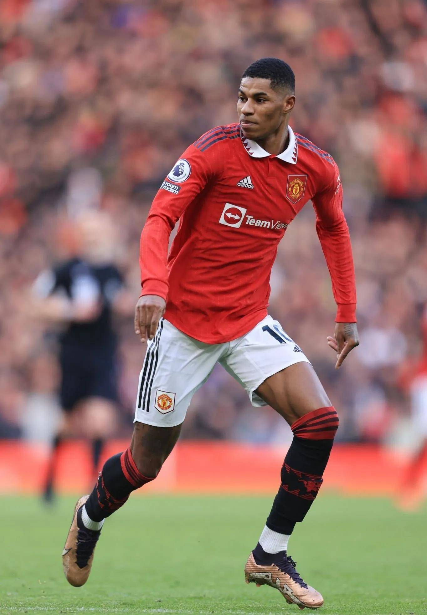 蓝军已经以 蓝军已经以